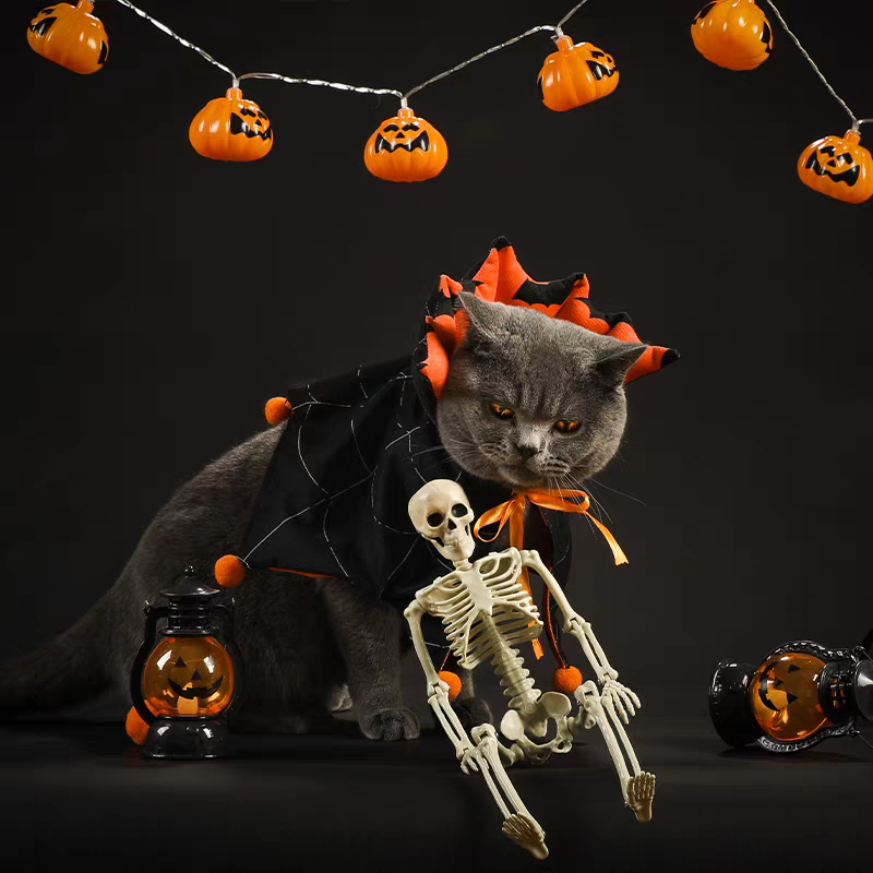 Halloween little devil cloak