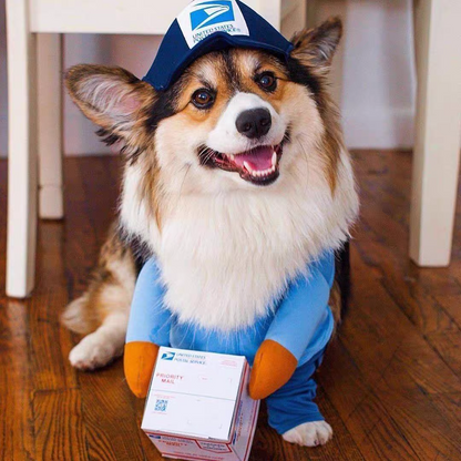 Funny courier dress-up