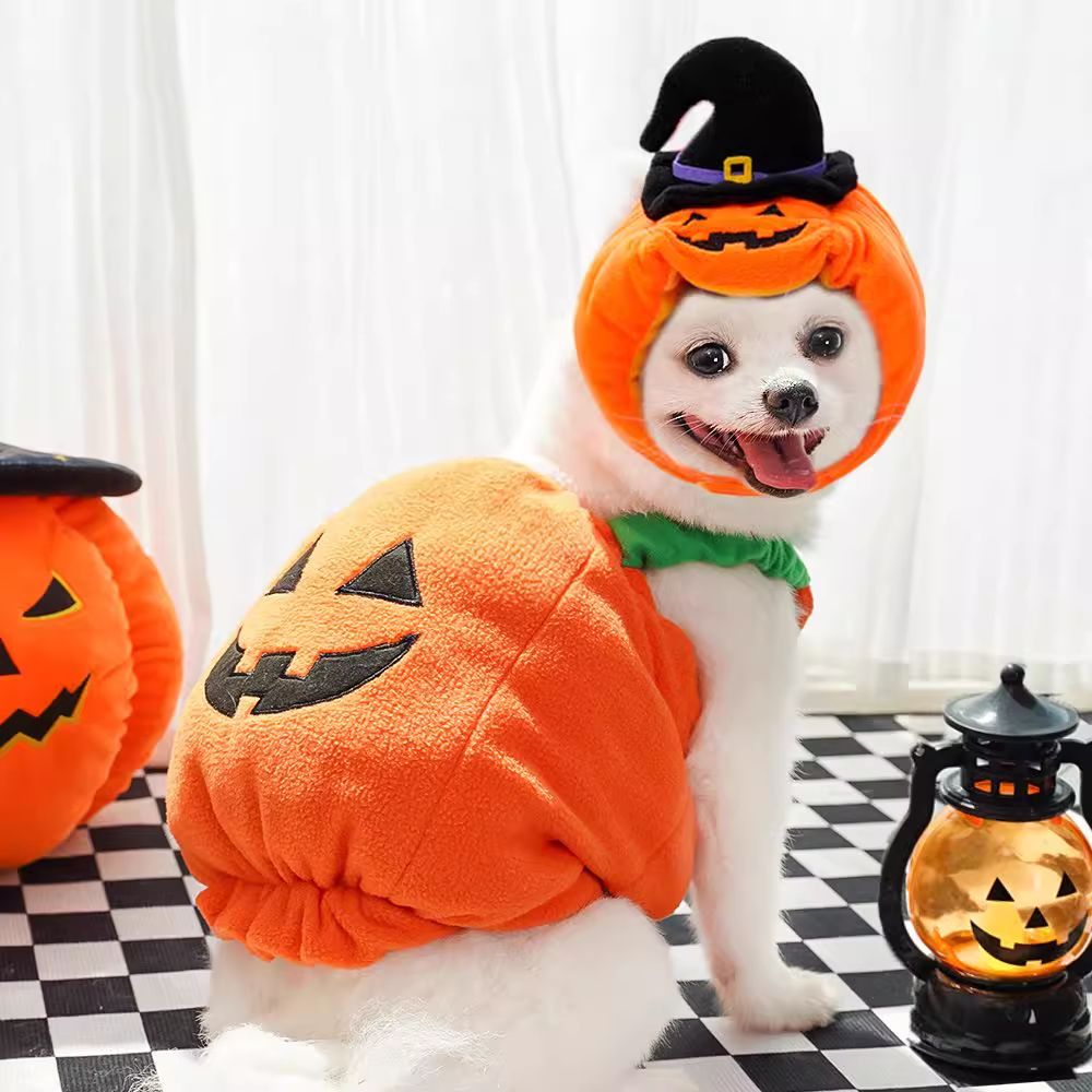 Halloween Pumpkin Costumes