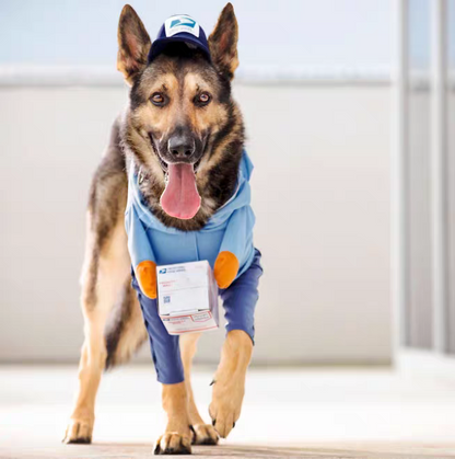 Funny courier dress-up