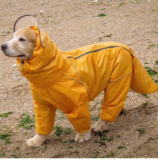 Dog's all-around raincoat
