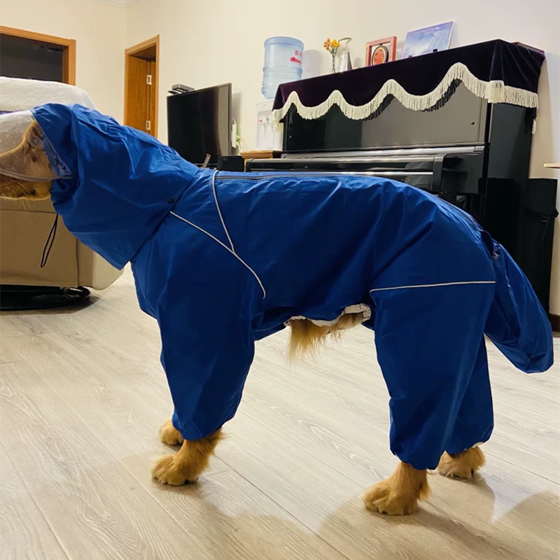 Dog's all-around raincoat