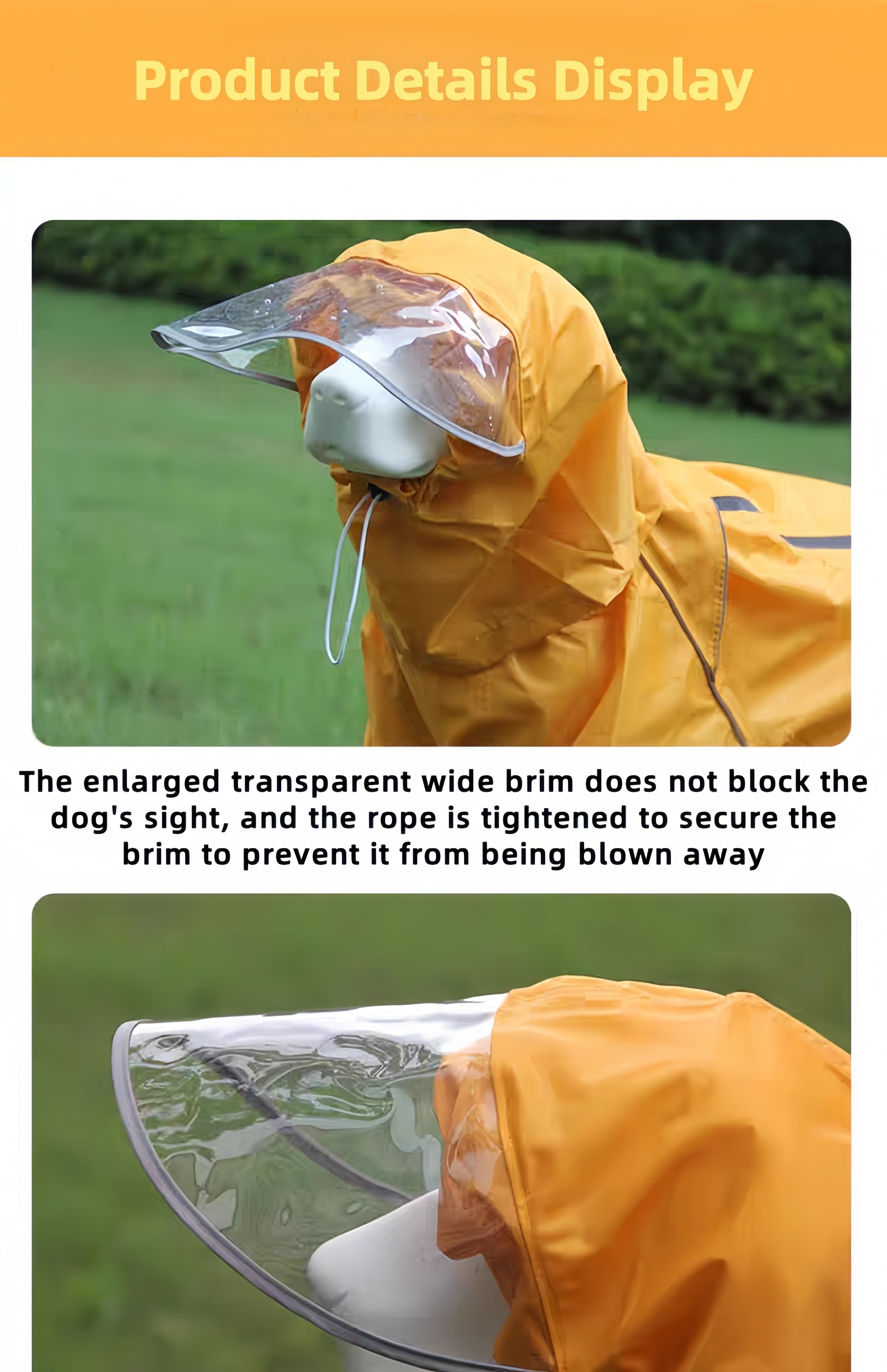 微信图片_20250701153542_副本.png__PID:69c09398-da5c-45dd-bf6e-bf6530c4b175