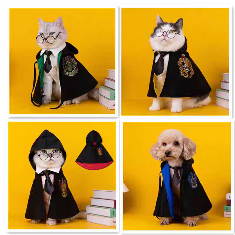 Halloween Hogwarts Wizard Costume