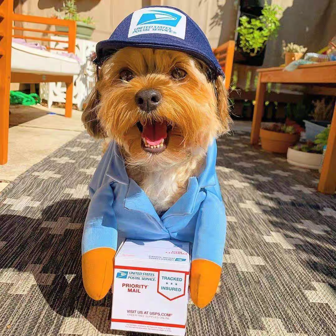 Funny courier dress-up