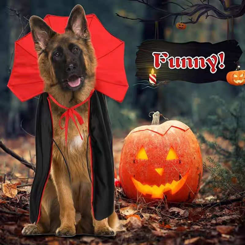 Halloween Vampire Count Cape