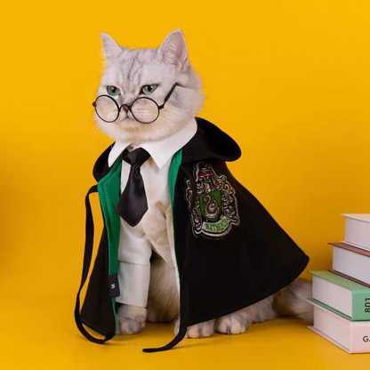 Halloween Hogwarts Wizard Costume