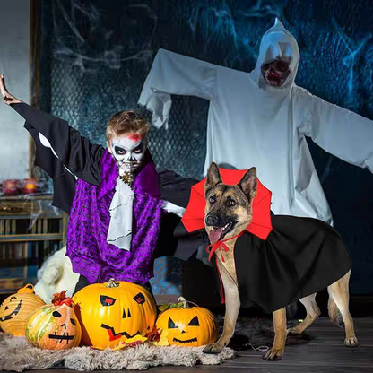 Halloween Vampire Count Cape