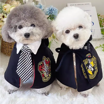 Halloween Hogwarts Wizard Costume