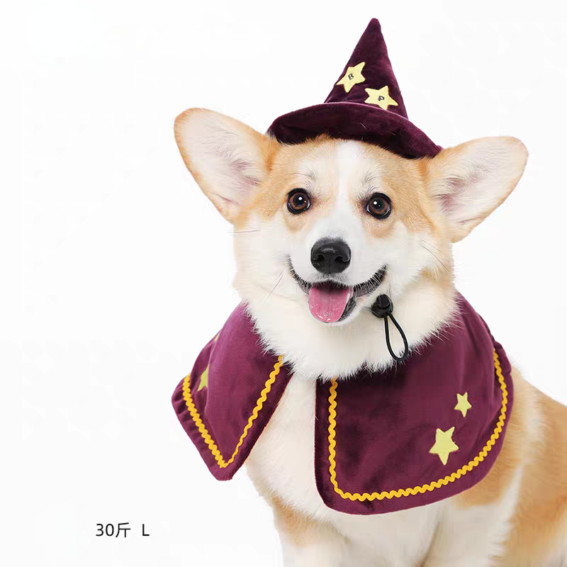 Halloween Magician Set