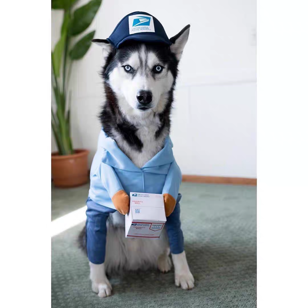 Funny courier dress-up
