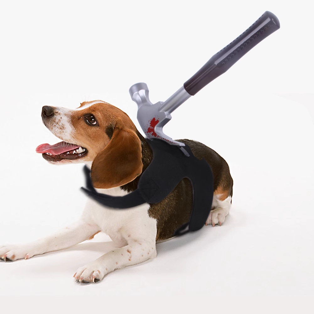 Halloween pet funny costume changes