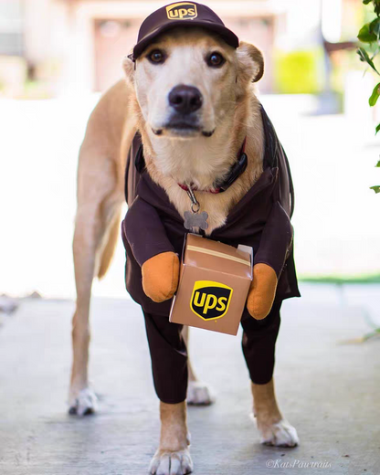 Funny courier dress-up