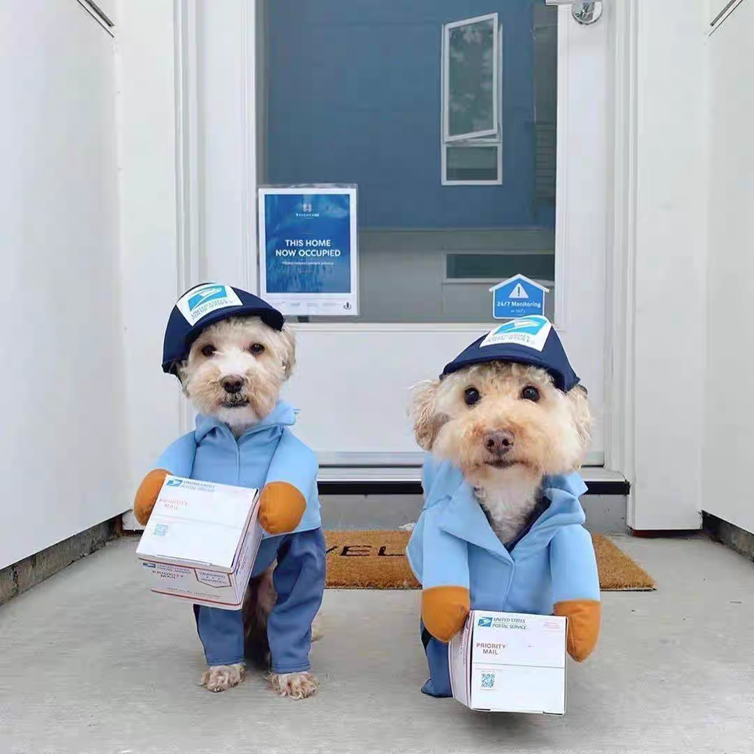 Funny courier dress-up