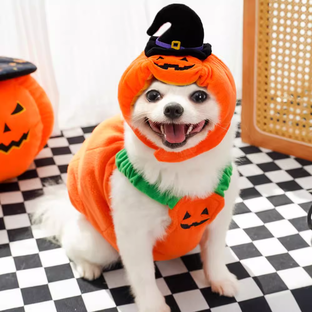 Halloween Pumpkin Costumes