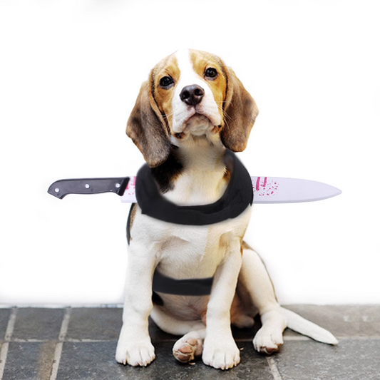 Halloween pet funny costume changes