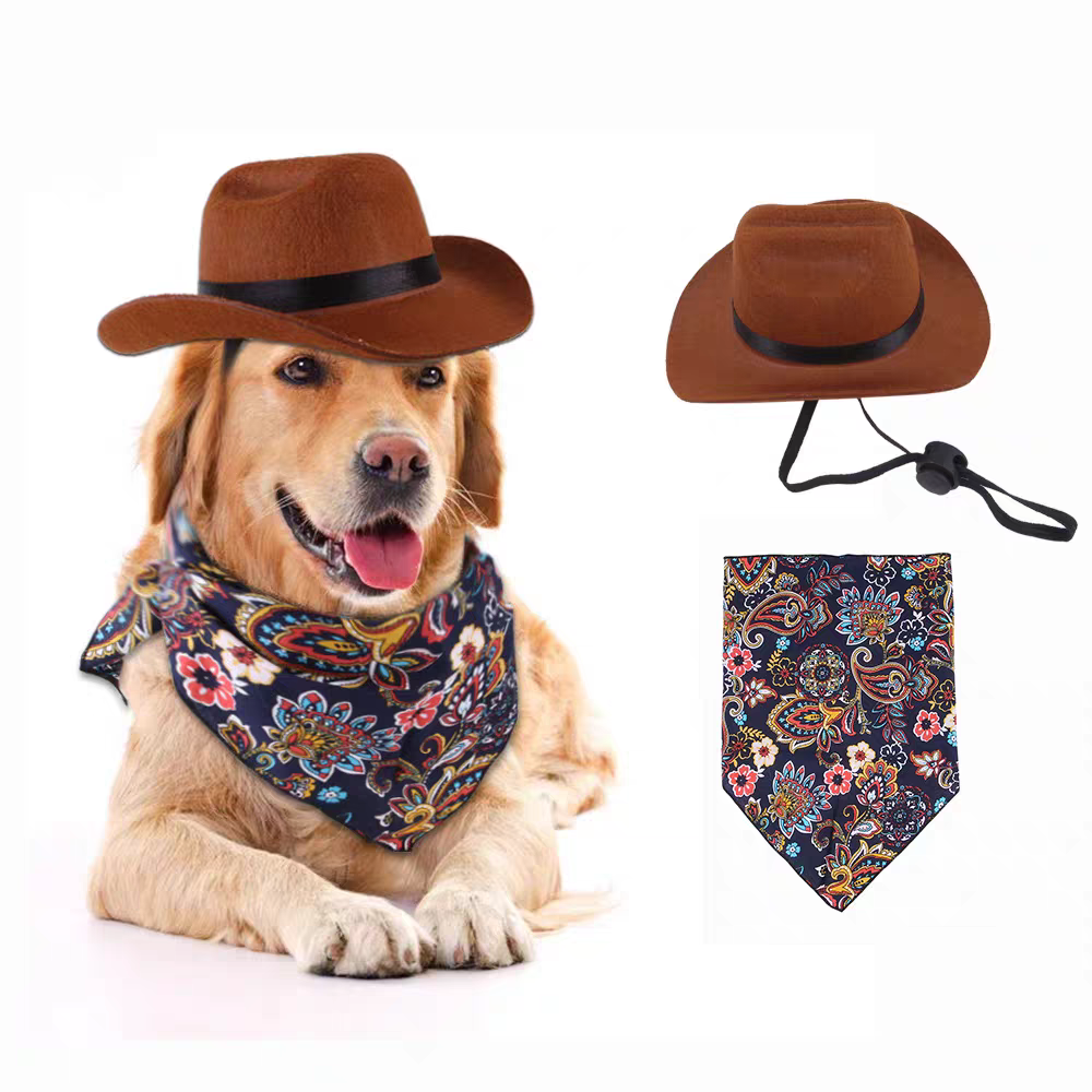 Halloween Cowboy Costume