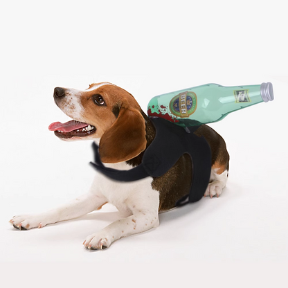 Halloween pet funny costume changes