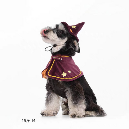 Halloween Magician Set