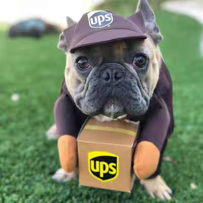 Funny courier dress-up