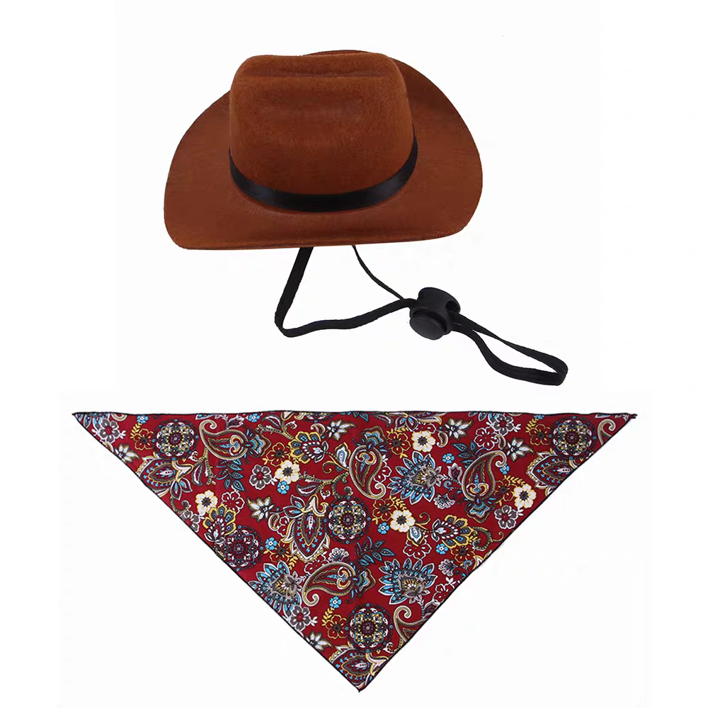 Halloween Cowboy Costume