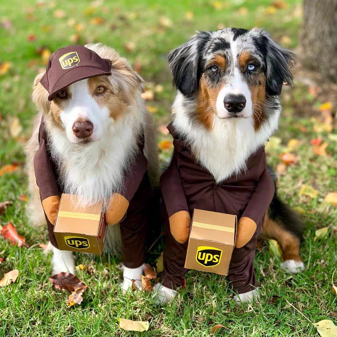 Funny courier dress-up