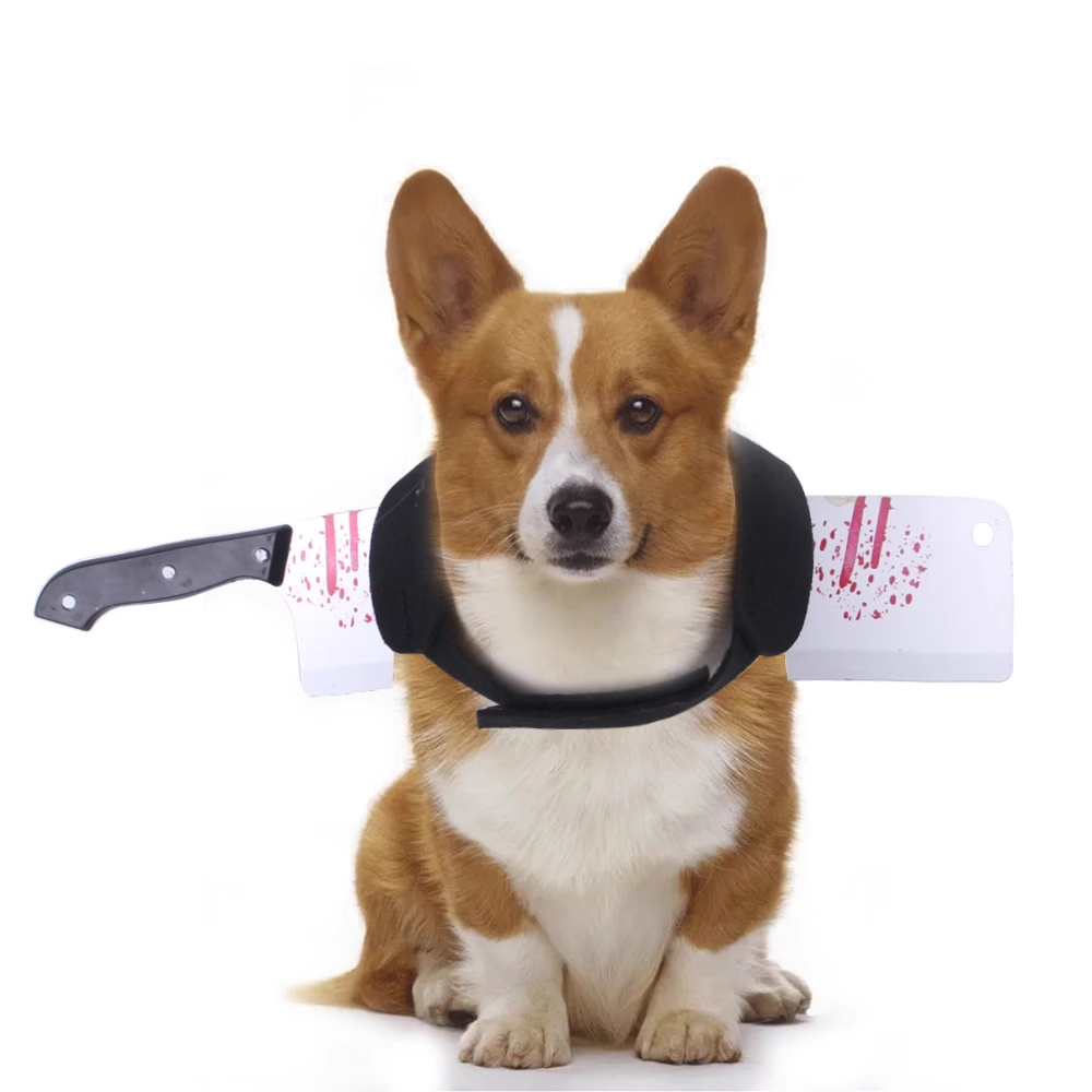 Halloween pet funny costume changes