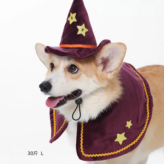 Halloween Magician Set