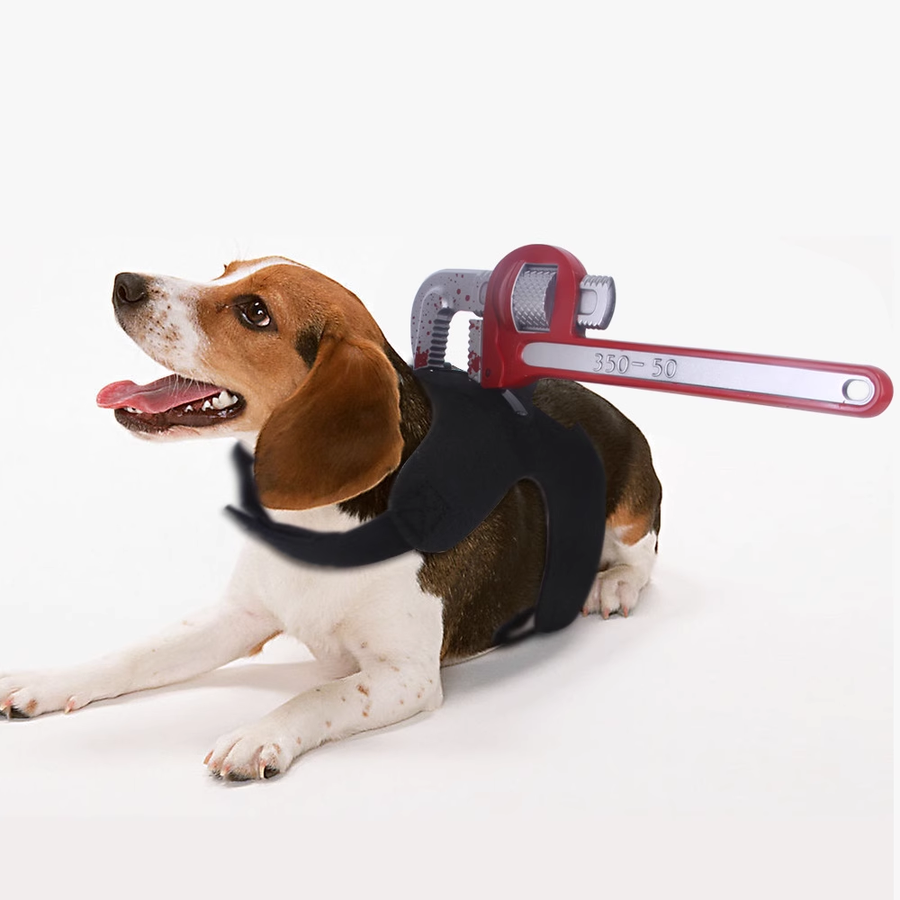 Halloween pet funny costume changes