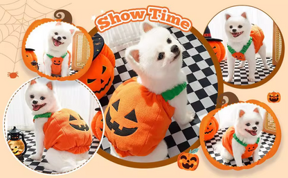 Halloween Pumpkin Costumes