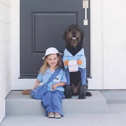Funny courier dress-up