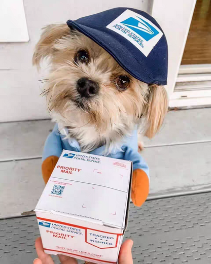 Funny courier dress-up