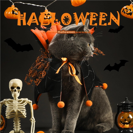Halloween little devil cloak