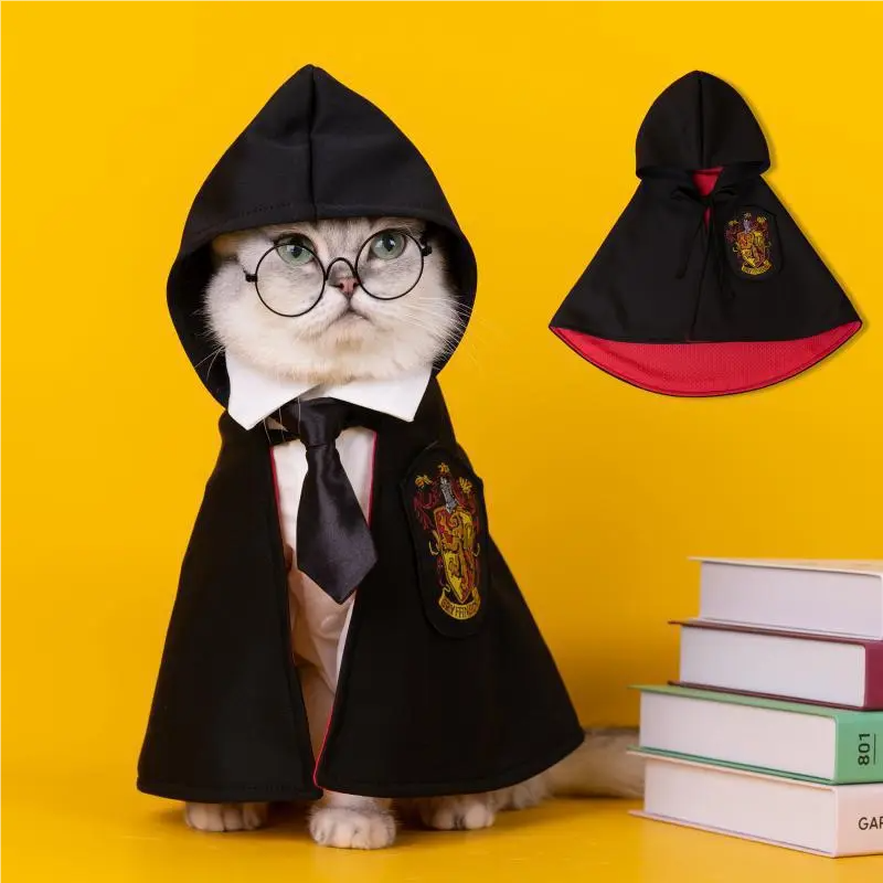 Halloween Hogwarts Wizard Costume