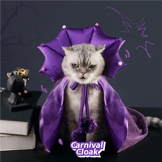 Halloween Witch cape